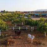Villa Sambucia - Sicilian Charm, Entirely Private